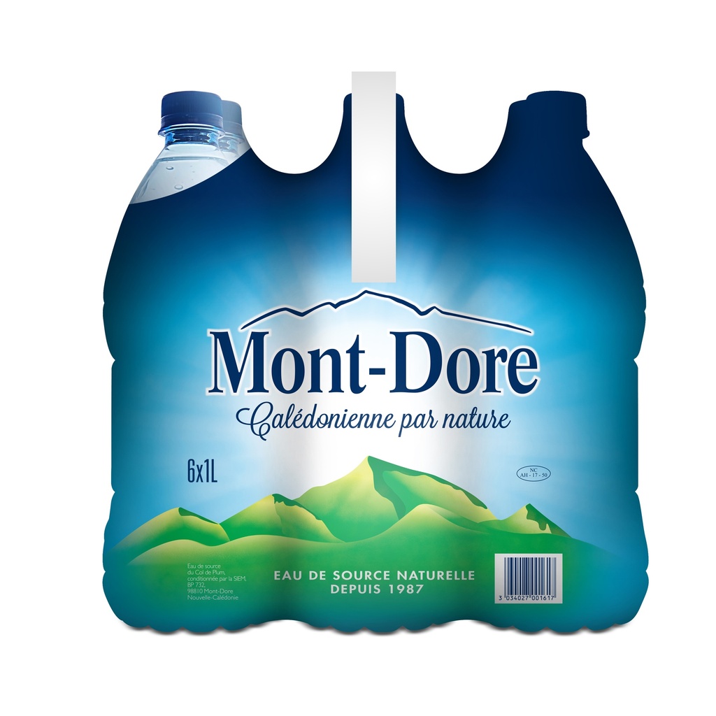 Mont Dore - Eau plate - Pack 6 x 1L