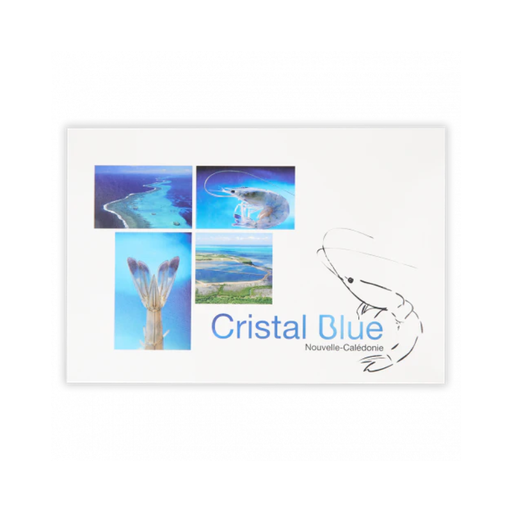 Cristal Blue - Crevette 26/30 - 1kg
