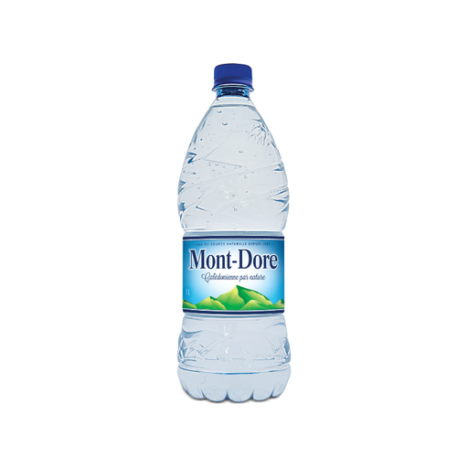 [E00011081] Mont Dore - Eau plate - 1L